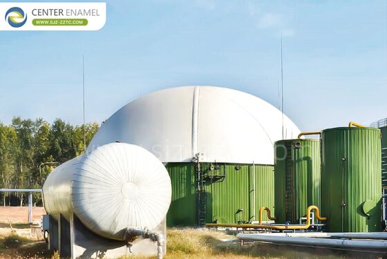 پیمانکار EPC برای پروژه های گاز زیستی گاو در چاد: مخازن GFS برتر و فرآیند CSTR