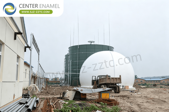 Best Biogas Solution Provider and CSTR Process for South Africa Livestock Manure Treatment