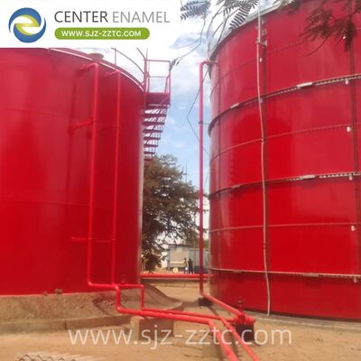 Center Enamel Provides Biogas Technology for Malaysia Livestock Manure Treatment Project