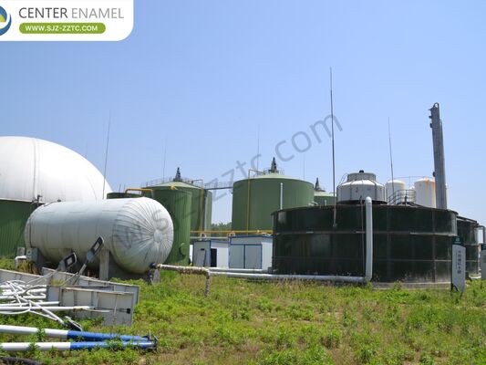 پیمانکار پیشرو پروژه بیوگاز با فرآیند CSTR برای تصفیه کود گاو در آفریقای جنوبی