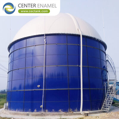 Biogas Storage Tank: Roof Storage or a Separate Holder?