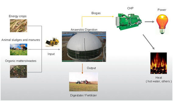 مخزن بیوگاز برتر EPC تامین کننده کلیدی برای انرژی بیوگاز ضایعات سیستم بسته بندی کامل 1